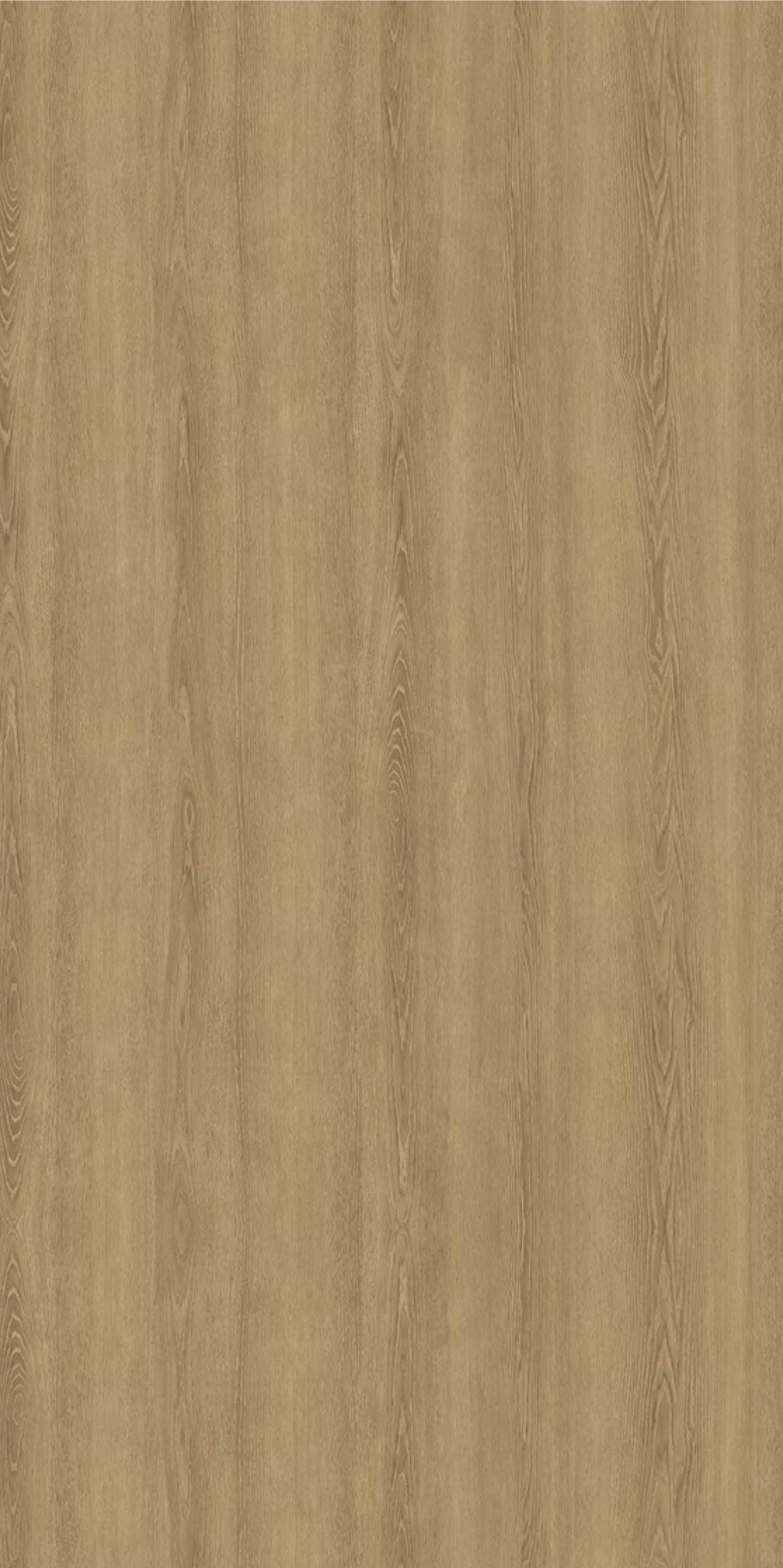 ES558