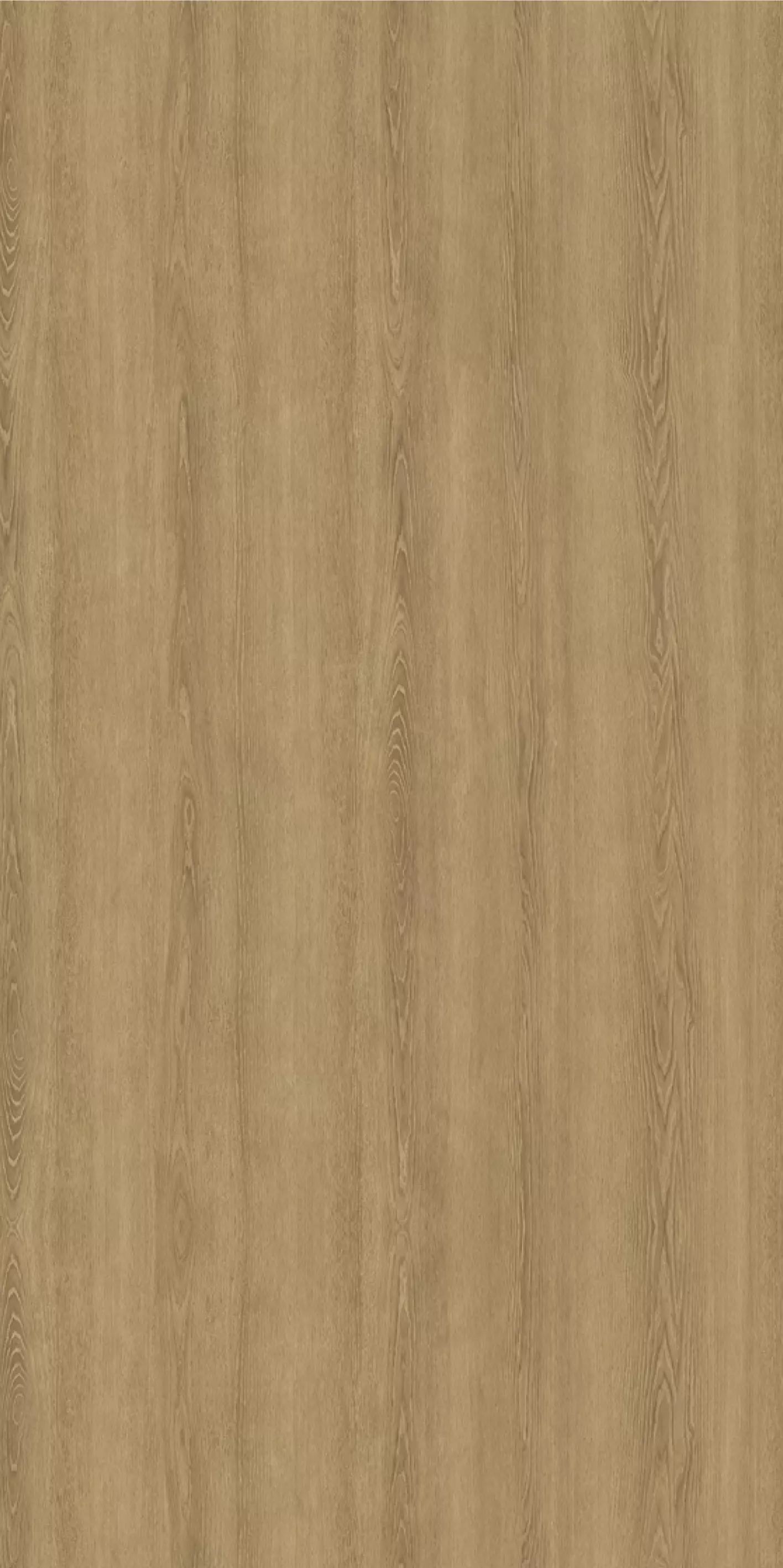 ES558